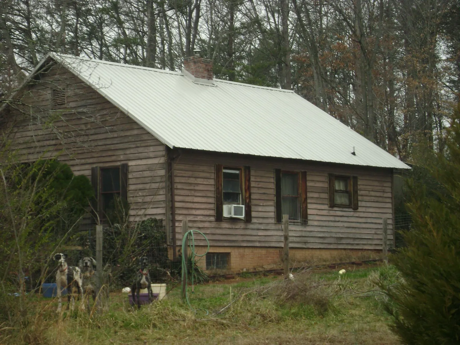 White metal roof on an old wood sided farmhouse, from a Asphalt Shingle Roof Repair job in Grand Forks
